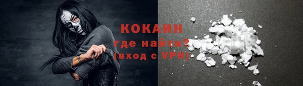 дмт Каменногорск