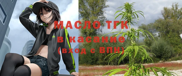 дмт Каменногорск