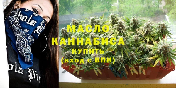 дмт Каменногорск